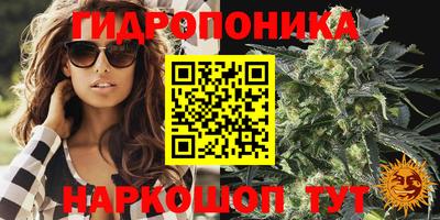 стафф Славгород