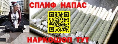 стафф Славгород
