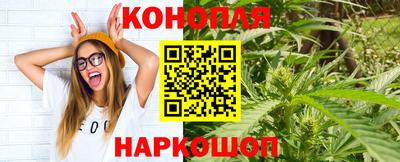 стафф Славгород