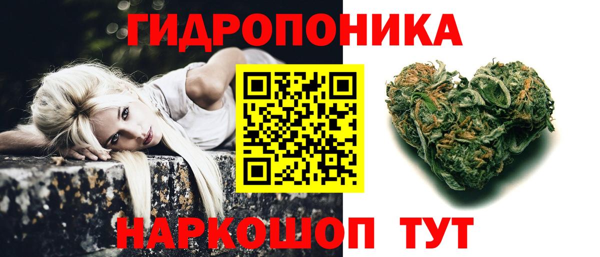 Петрозаводск  Каннабис индика  Вход с VPN  МАРИХУАНА OG Kush  Каннабис марихуана 